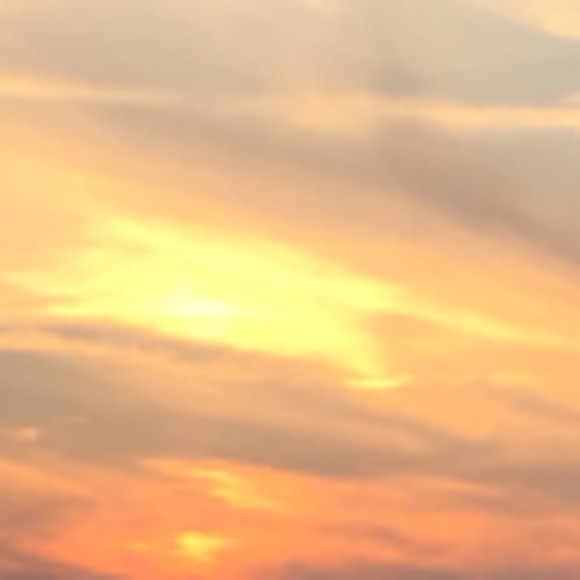 Meet your Posher, Pragya - Picture 1 of 1